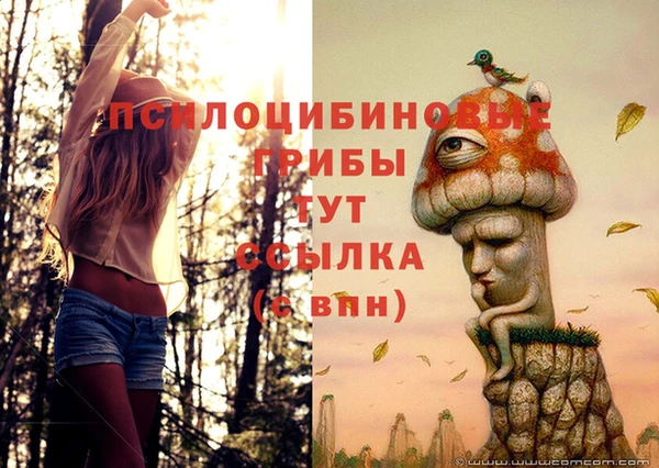 a pvp Богданович