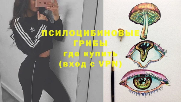 герыч Богородск