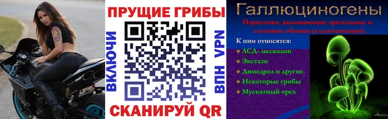 Галлюциногенные грибы мухоморы  Купить закладки  Моздок 