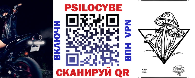 Псилоцибиновые грибы Cubensis Моздок