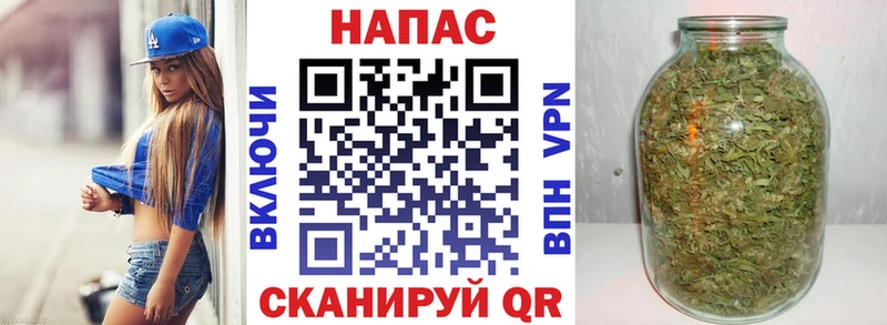 Купить закладки  Моздок  Шишки марихуана индика 